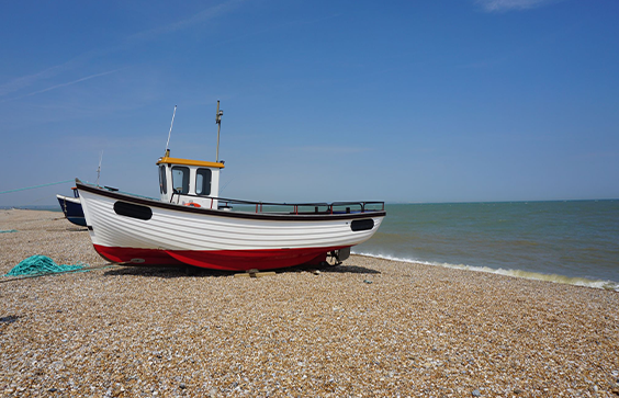 Dungeness Beach